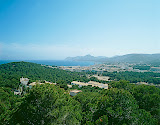10 C 5.jpg