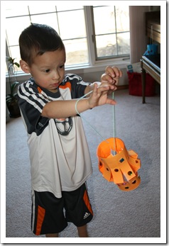 IMG_5488 IMG_5488