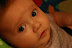 Zoe Halloween Costume-1-3.JPG