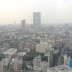 The view from Tokyo tower. Tokyo is grey :(