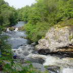Dsc01781.jpg