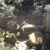 Looking down from the bridge. Was a lovely sunshiney day :)