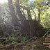 DSCF1617.JPG