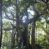DSCF1635.JPG