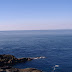 You can see Tanegashima in the background.