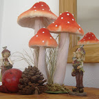 DSCF2381.JPG