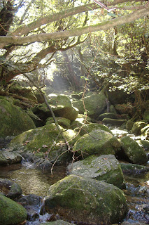 may22 Dscf1612.jpg