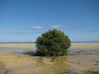 moreton island