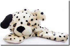 dalmation2