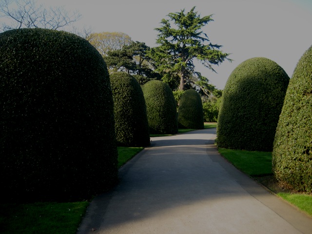[IMG_598811.jpg]