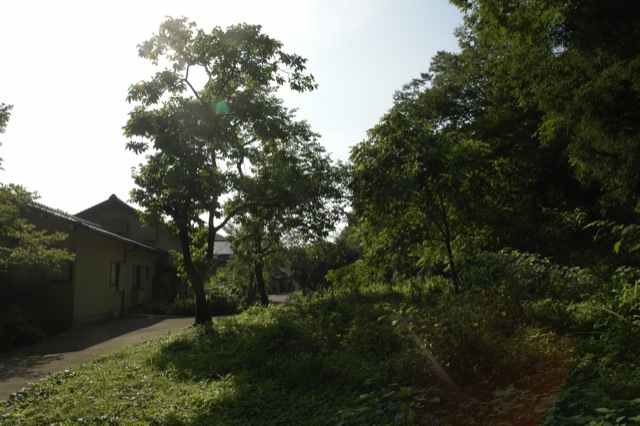 �Ƥ��褿����