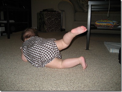 IMG_5690 IMG_5690