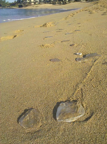 [walk on the beach Droid 008[8].jpg]