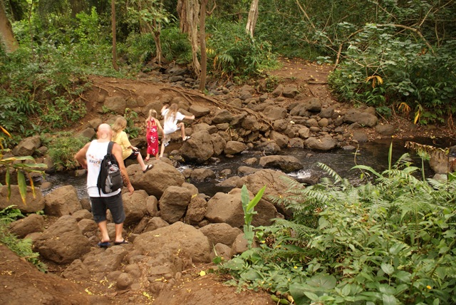 [Maunawili hike 118[3].jpg]