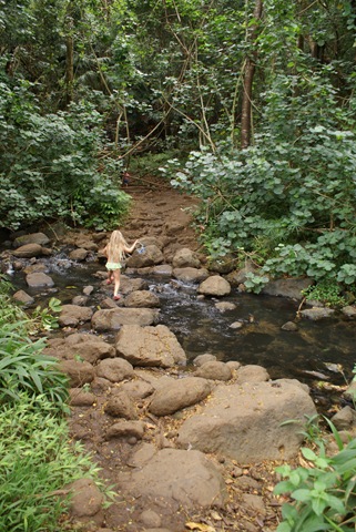 [Maunawili hike 136[6].jpg]