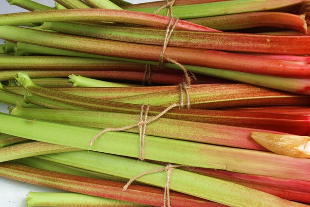 [rhubarb[4].jpg]