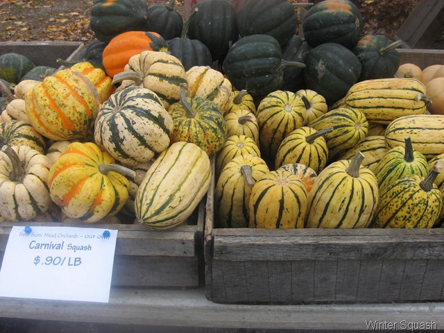 [winter squash 2[4].jpg]
