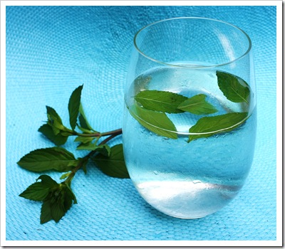 mint water
