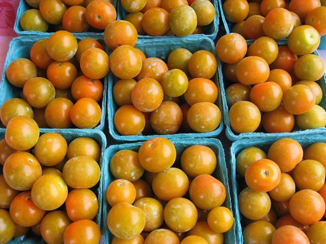 [sungolds[4].jpg]