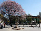 Paseo del Buen Pastor, Cordoba