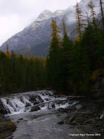 Kalispell 248.JPG Photo