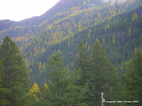 Kalispell 144.JPG Photo