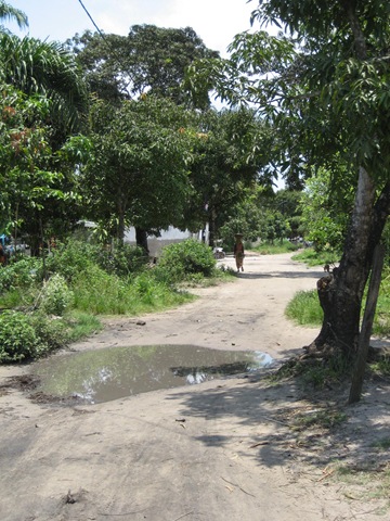 [IMG_32282.jpg]