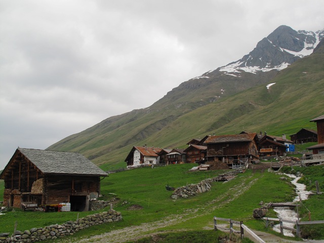 [IMG_40193.jpg]