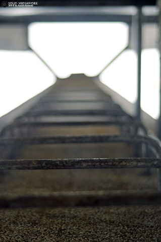 [stairway2heaven[11].jpg]