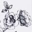 Black and White Roses Card Thumbnail