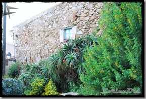 Tossa (5) Tossa (5)