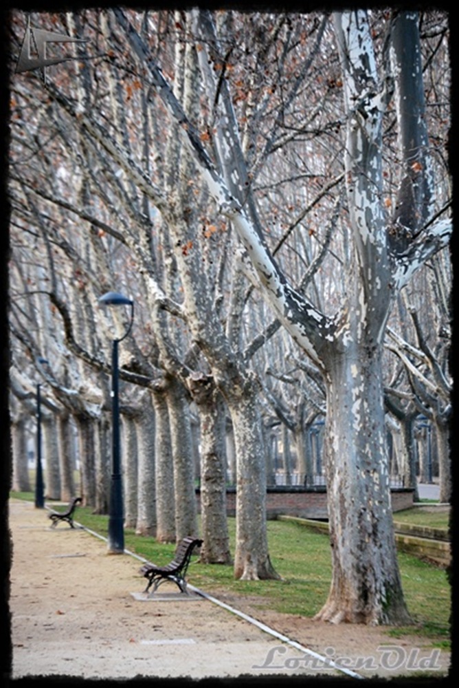 [Parque_Labordeta (2)[3].jpg]