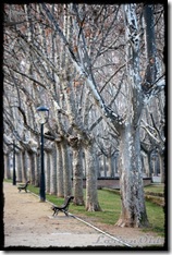 Parque_Labordeta (2)