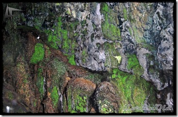 MonasterioDePiedra (71)