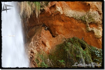 MonasterioDePiedra (60)