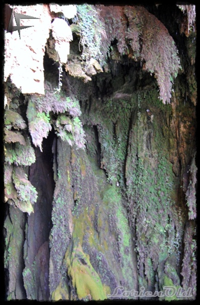 [MonasterioDePiedra (59)[3].jpg]