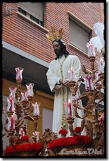 ProcesionHumildad (20)