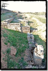 Uxama (7)