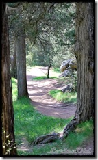 La_Fuentona (6)