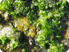 IMG_8788 IMG_8788