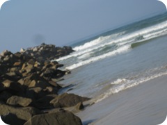 IMG_8784 IMG_8784