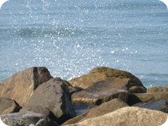 IMG_8816 IMG_8816