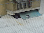 DSC07653.JPG