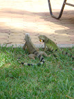 DSC01642.JPG