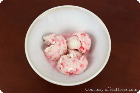peppermint-500x333