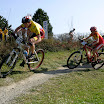 IMG_7064.jpg