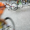 IMG_8730.jpg