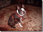 DSCF0083