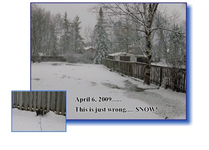April 6,2009 SNOW