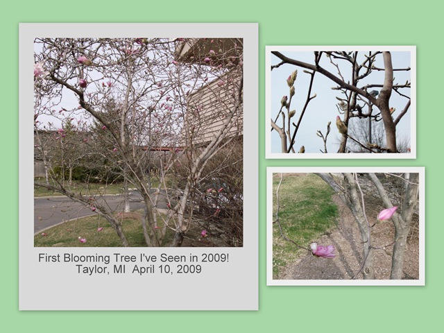 [April 19 2009 Easter Trip[14].jpg]
